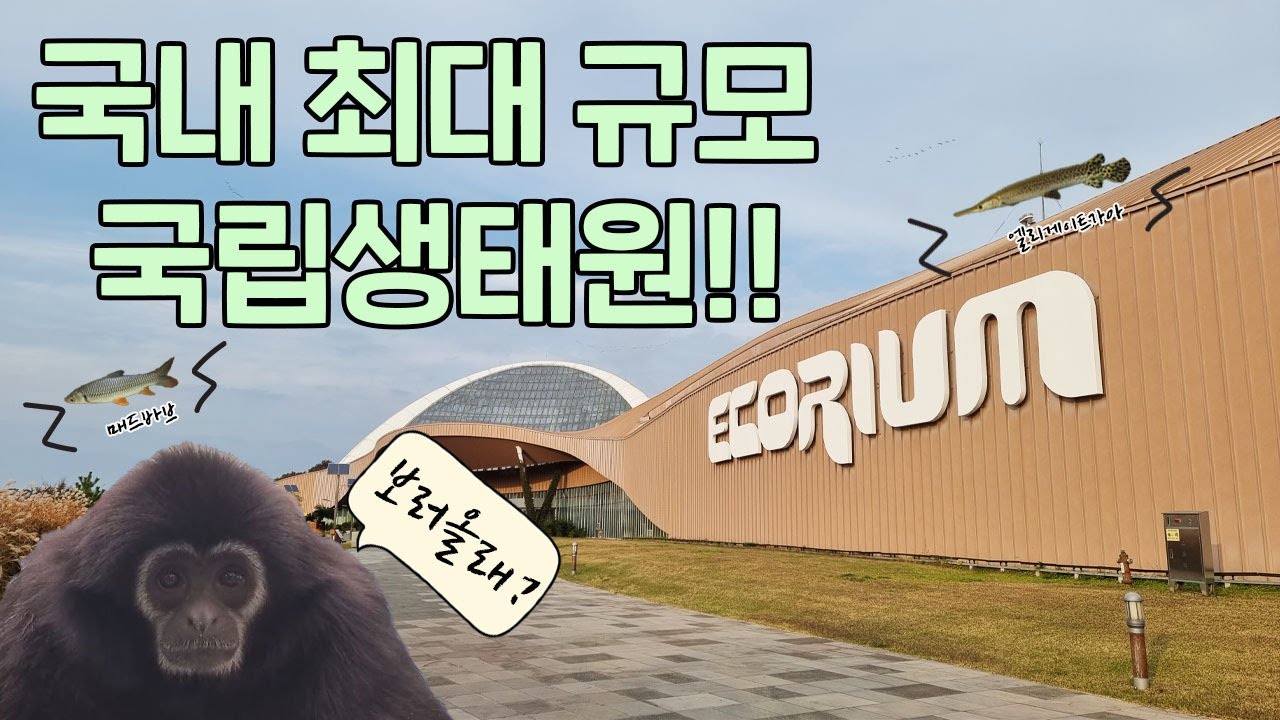[환경부X‪@TV생물도감‬] 역대급 스케일의 국내 최대생태관🐟 국립생태원!