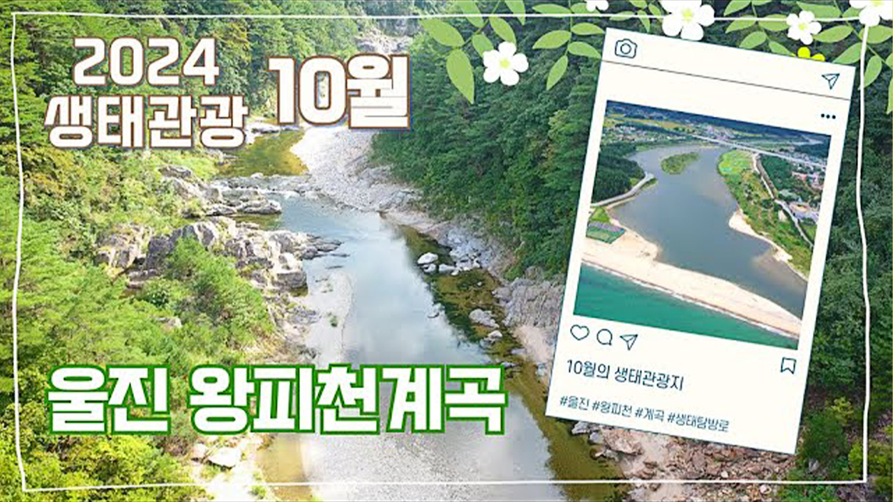 청정 자연에서 만나는 가을 쉼표🍁ㅣ이달의 생태관광지- 울진 #왕피천계곡